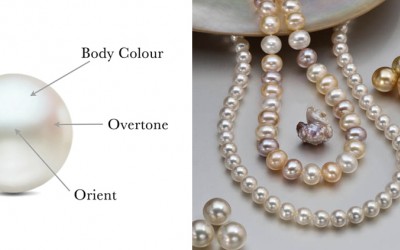 How Much Are Pearls Worth